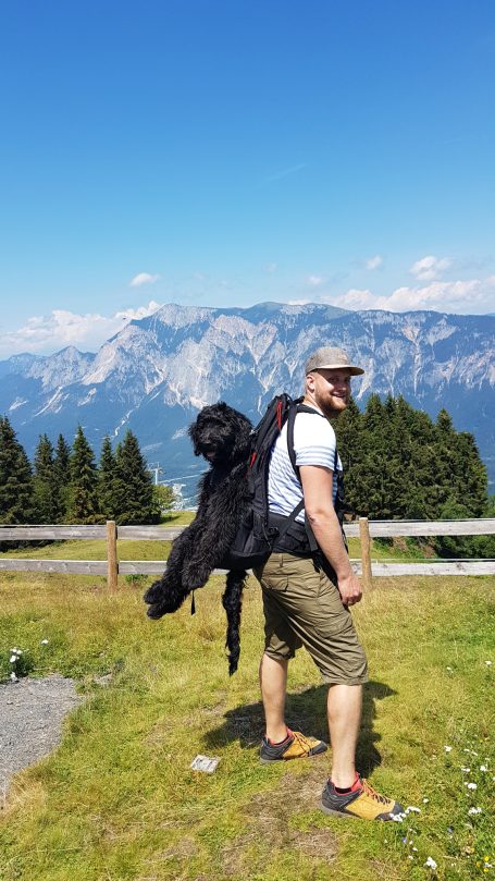 Mann mit Rucksack auf dem Rücken und einem Bernedoodle welcher in dem Rucksack fetsgeschnallt, steht in der Natur mit Bergen im Hintergrund.
