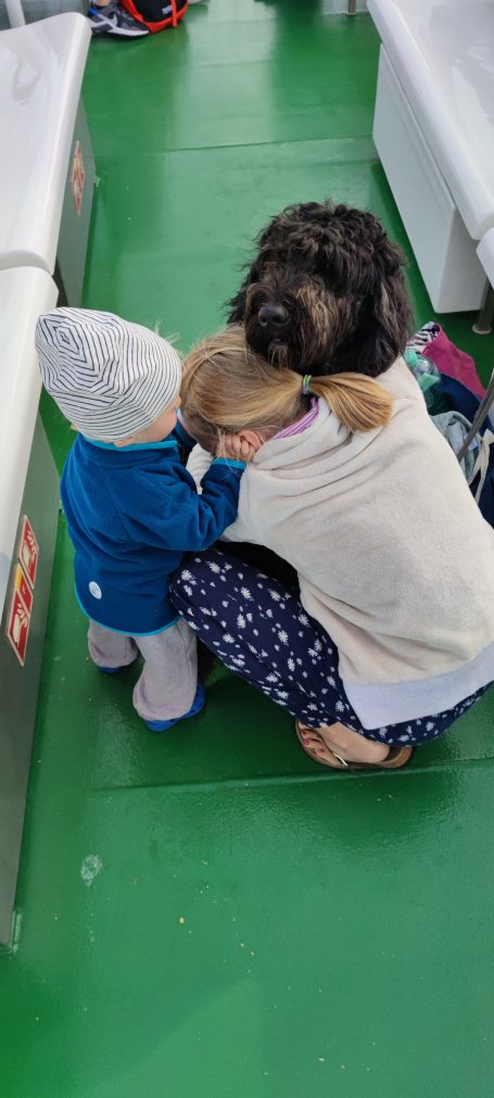 Zwei Kinder umarmen eine Bernedoodle und kuscheln mit diesem.