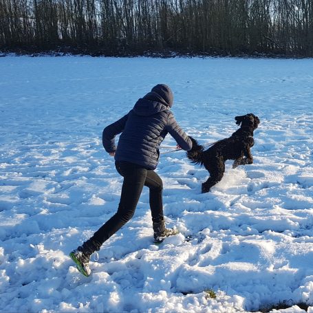 Ein Junge spielt und rennt mit einem Bernedoodle im Schnee.